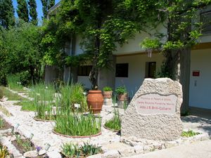 centro floristiche foto