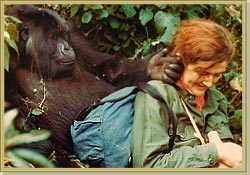 180610 dian fossey 1